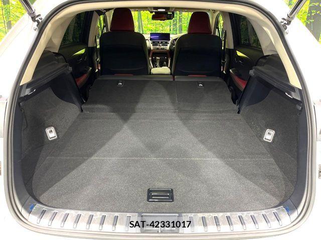 Lexus NX 2018-02 8230629-11