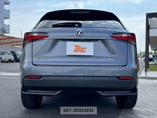 Lexus NX 2015-07 8230631-13