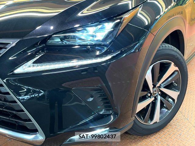 Lexus NX 2019-12 8245738-11