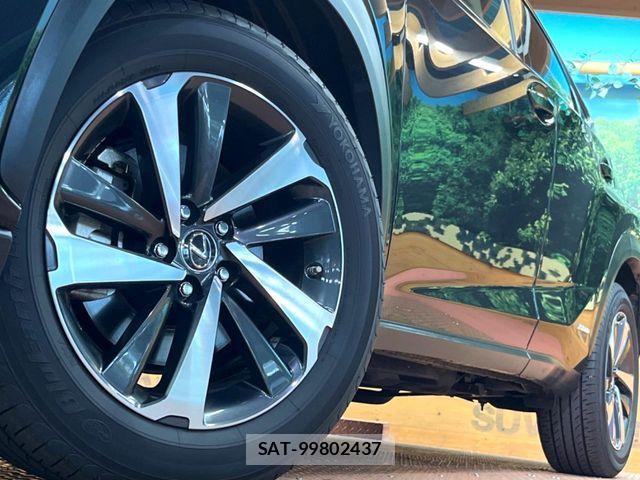 Lexus NX 2019-12 8245738-12