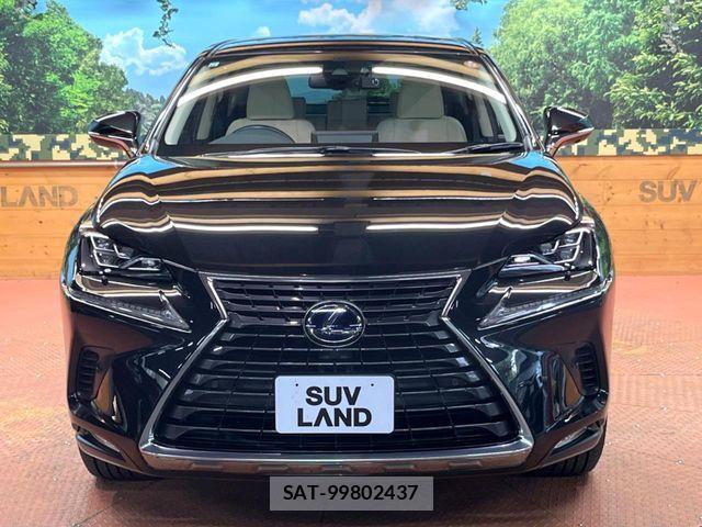 Lexus NX 2019-12 8245738-13