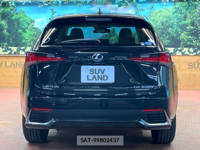 Lexus NX 2019-12 8245738-14