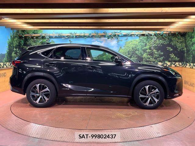 Lexus NX 2019-12 8245738-15