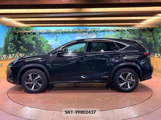 Lexus NX 2019-12 8245738-16