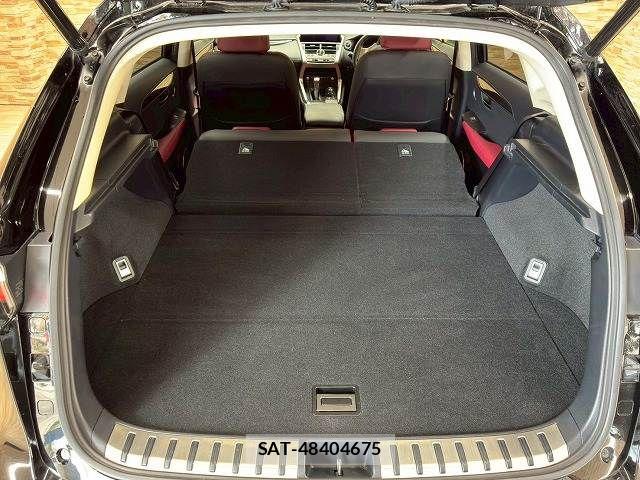 Lexus NX 2019-09 8245735-12