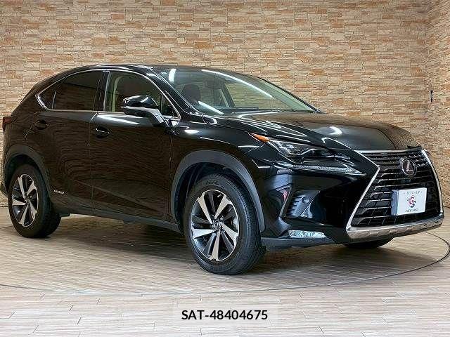 Lexus NX 2019-09 8245735-14