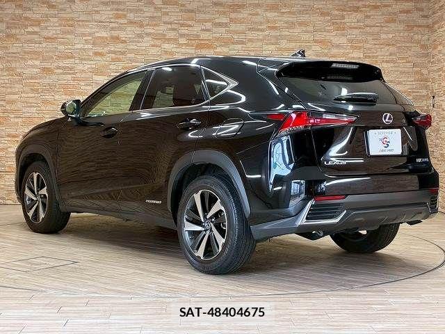 Lexus NX 2019-09 8245735-16