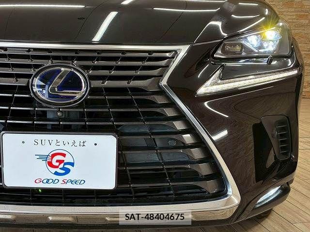 Lexus NX 2019-09 8245735-19