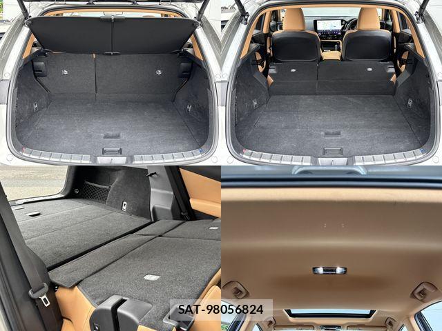 Lexus NX 2023-09 8315201-24