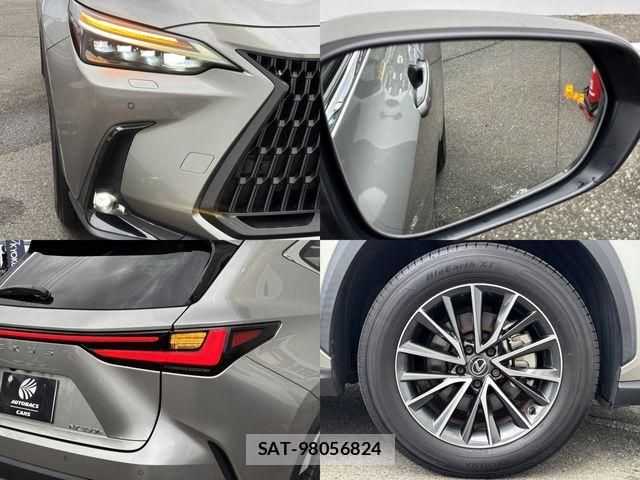 Lexus NX 2023-09 8315201-26