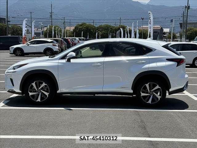 Lexus NX 2018-08 8315199-10