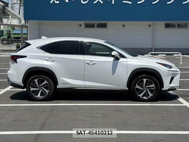 Lexus NX 2018-08 8315199-11