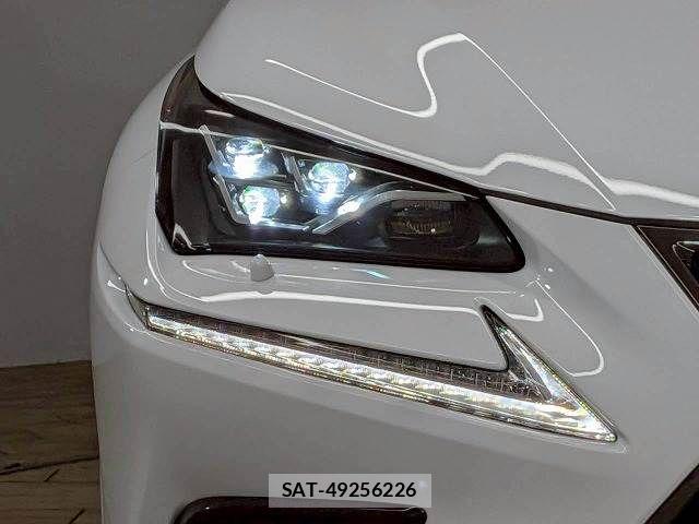 Lexus NX 2020-10 8336578-18