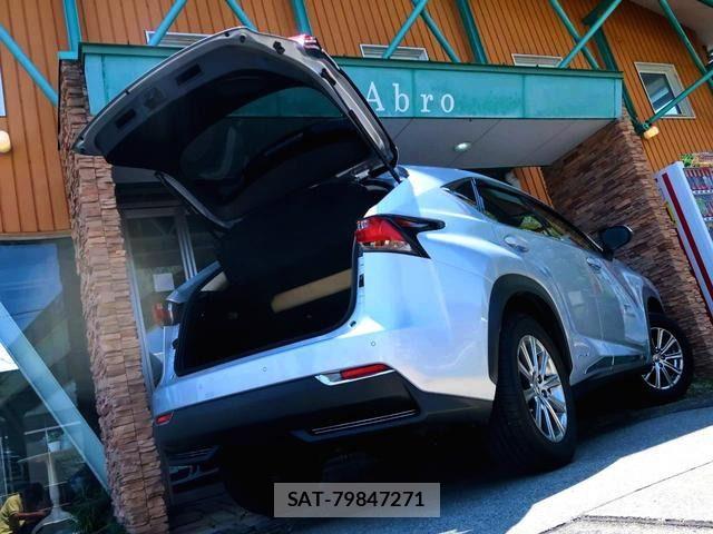 Lexus NX 2015-07 8354854-7