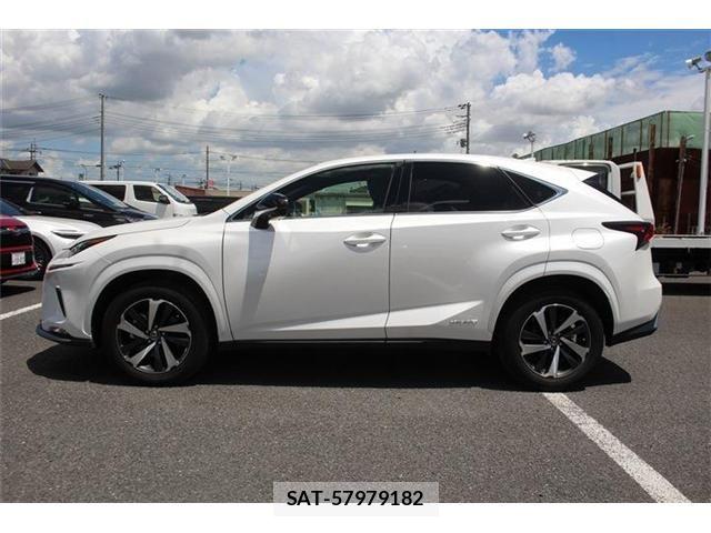 Lexus NX 2020-11 8366758-10