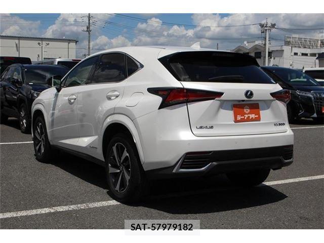 Lexus NX 2020-11 8366758-11