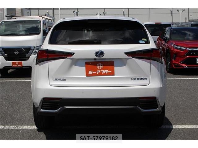 Lexus NX 2020-11 8366758-12