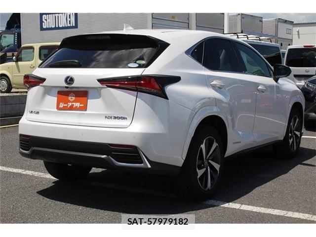 Lexus NX 2020-11 8366758-13