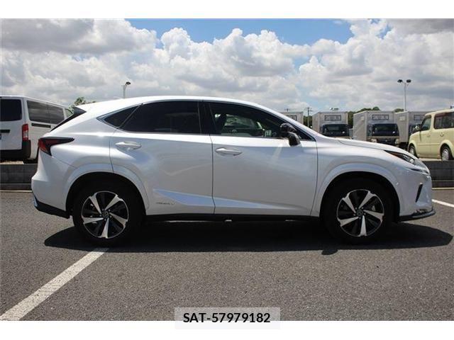 Lexus NX 2020-11 8366758-14