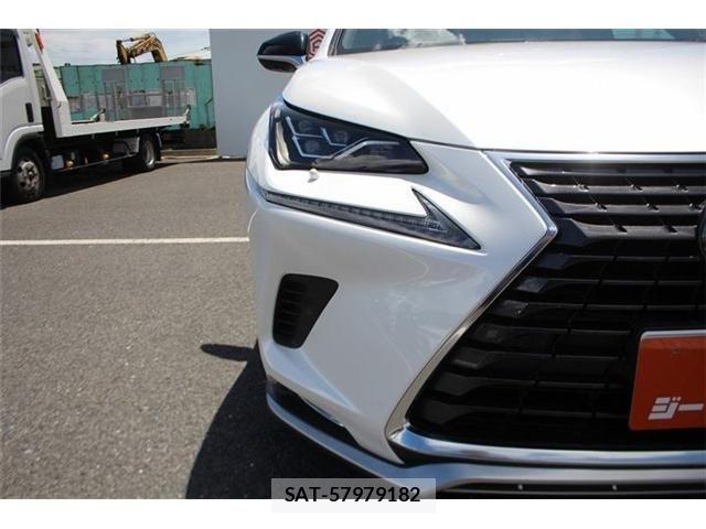 Lexus NX 2020-11 8366758-21