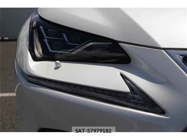 Lexus NX 2020-11 8366758-22