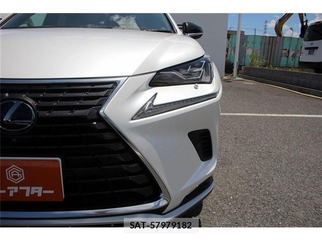 Lexus NX 2020-11 8366758-23