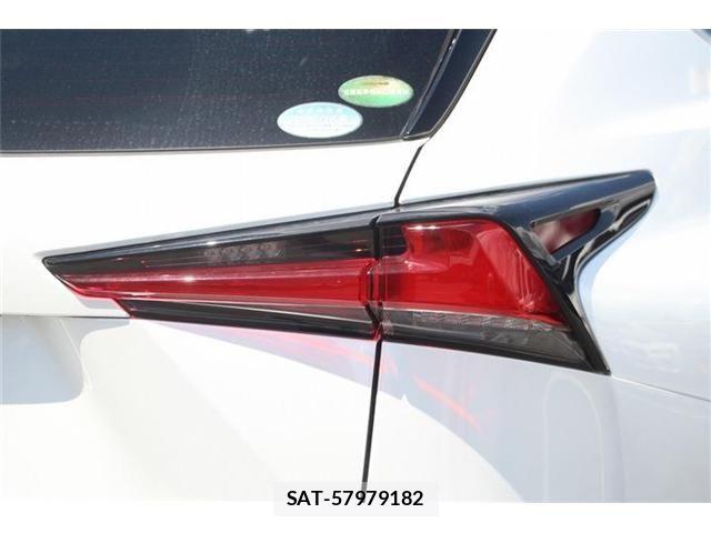 Lexus NX 2020-11 8366758-26