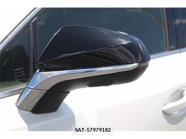 Lexus NX 2020-11 8366758-28