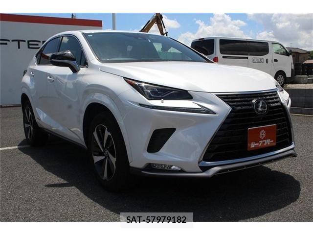 Lexus NX 2020-11 8366758-7