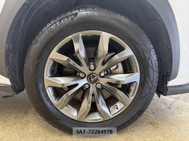 Lexus NX 2020-03 8366754-13