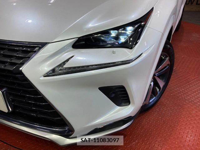 Lexus NX 2021-08 8366755-11