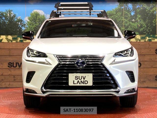 Lexus NX 2021-08 8366755-13