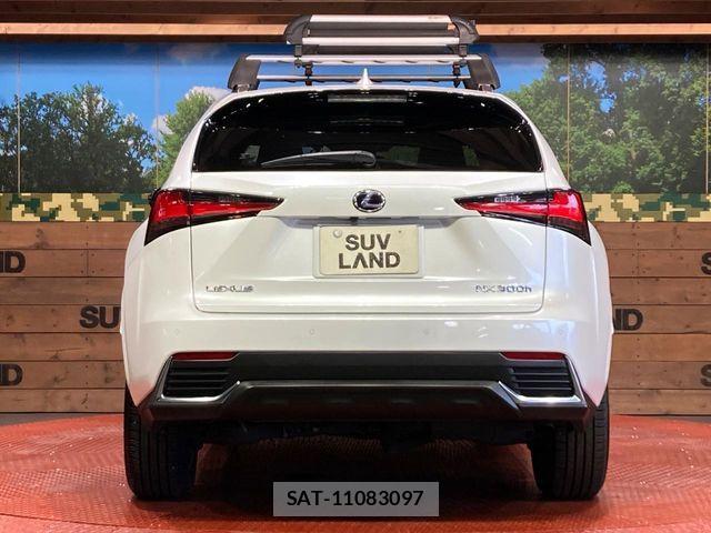 Lexus NX 2021-08 8366755-14