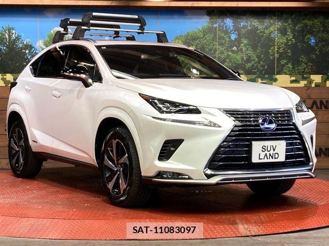 Lexus NX 2021-08 8366755-15