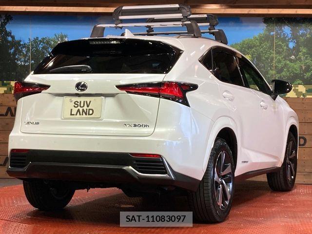 Lexus NX 2021-08 8366755-16