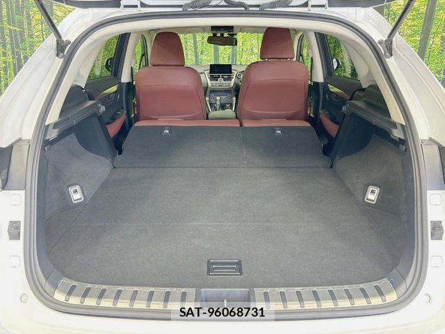 Lexus NX 2015-07 8366757-9
