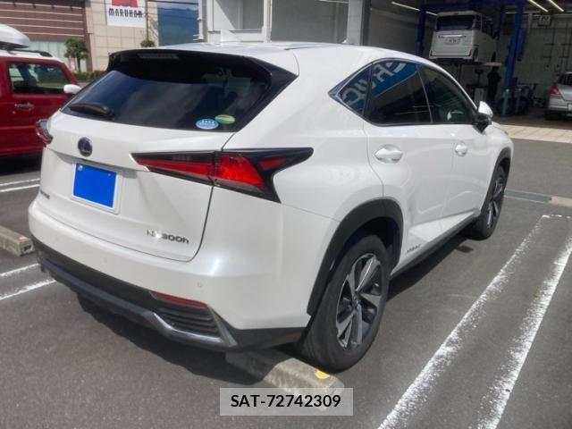 Lexus NX 2018-03 8413296-3