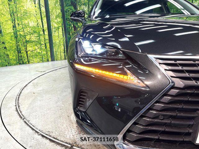 Lexus NX 2019-09 8457813-11