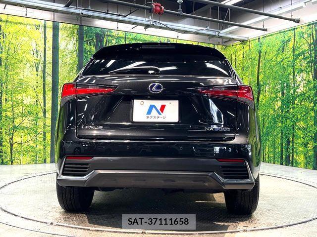Lexus NX 2019-09 8457813-14