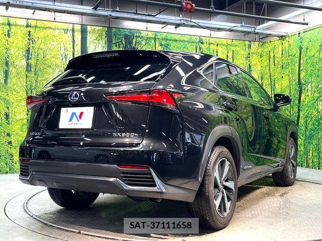 Lexus NX 2019-09 8457813-16