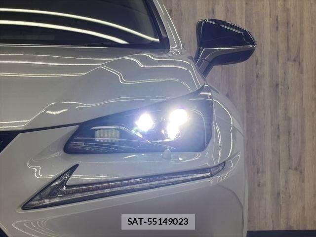 Lexus NX 2019-03 8457814-10