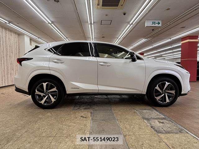 Lexus NX 2019-03 8457814-15