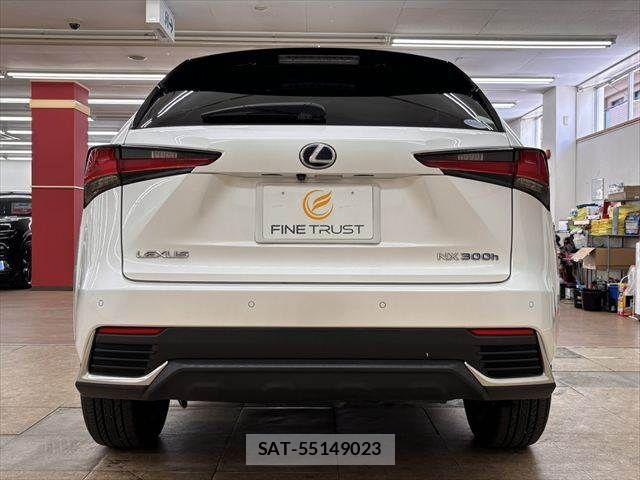 Lexus NX 2019-03 8457814-16