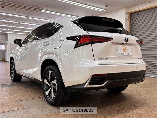 Lexus NX 2019-03 8457814-18