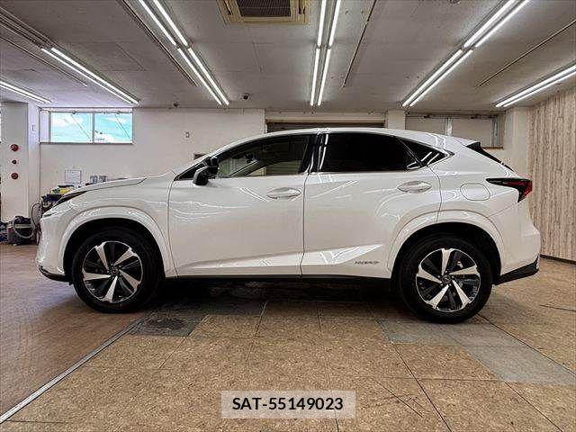 Lexus NX 2019-03 8457814-19