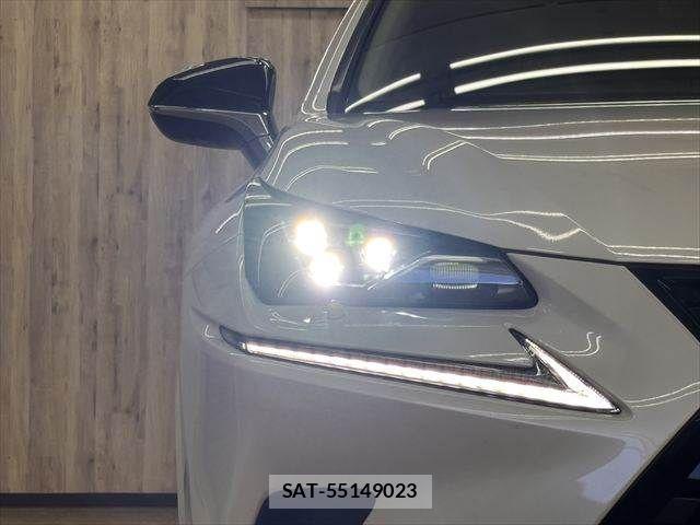 Lexus NX 2019-03 8457814-29