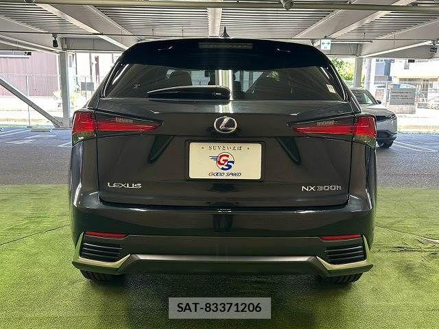Lexus NX 2020-05 8485642-15