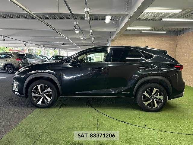Lexus NX 2020-05 8485642-16