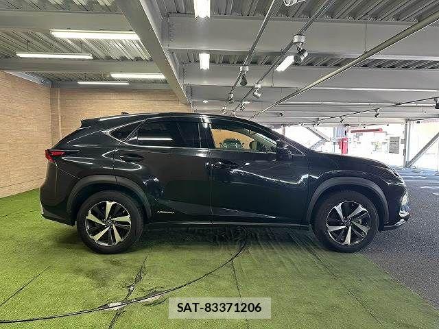 Lexus NX 2020-05 8485642-17
