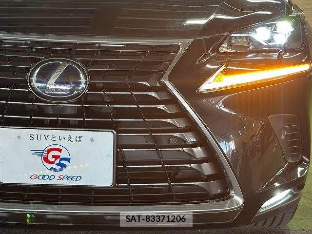 Lexus NX 2020-05 8485642-19
